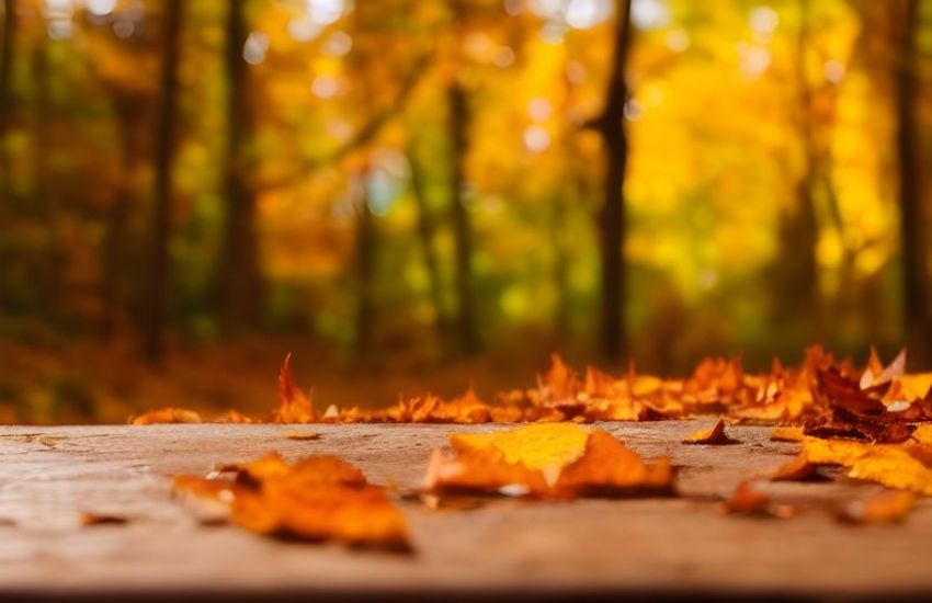 Outono começa com previsão de temperaturas acima da média