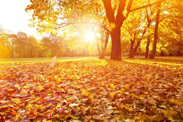 Outono começa com previsão de temperaturas acima da média